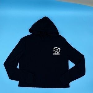 HARRY POTTER Team Captain Quidditch Hoodie